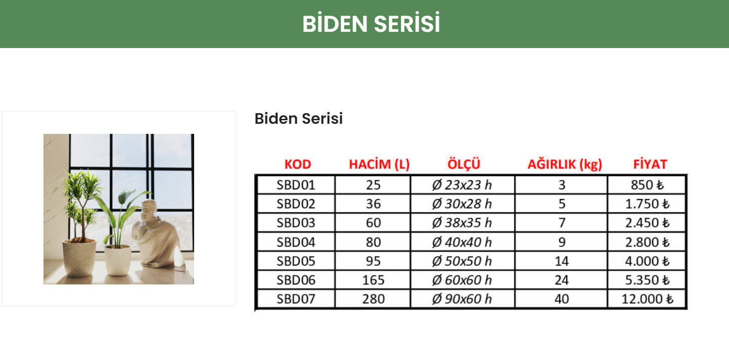 5  BİDEN SERİSİ